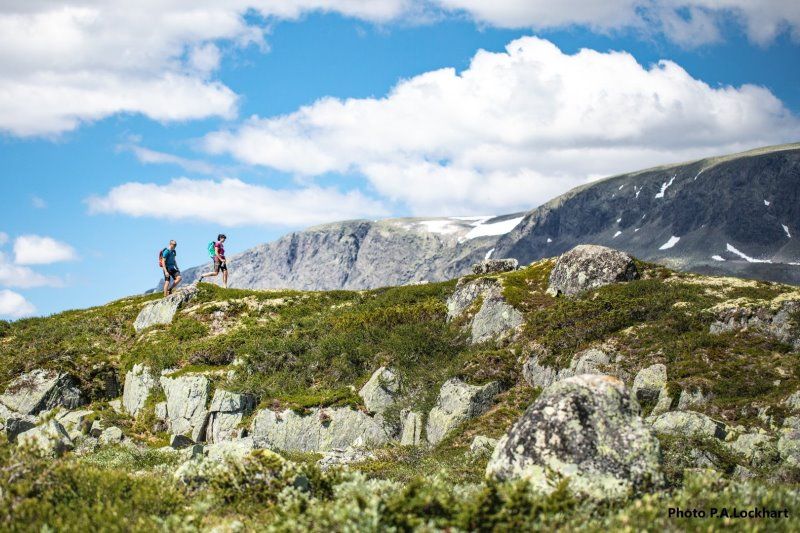 Geilo Hytter og Camping wandelen Hardangervidda