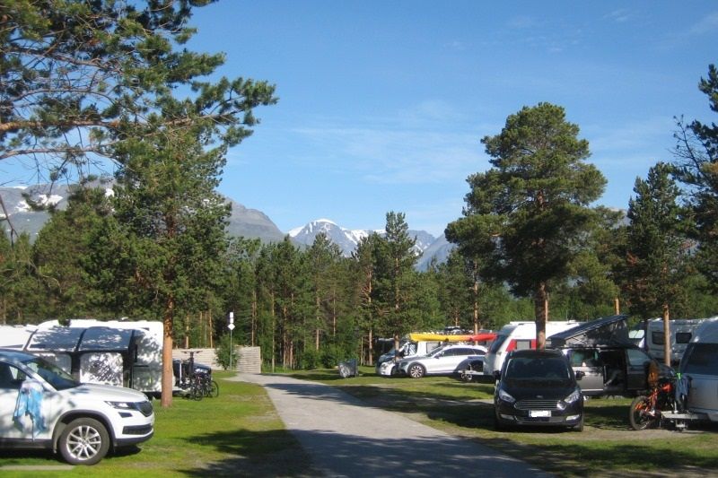 Olderelv Camping Skibotn kampeerplaatsen (bomen)